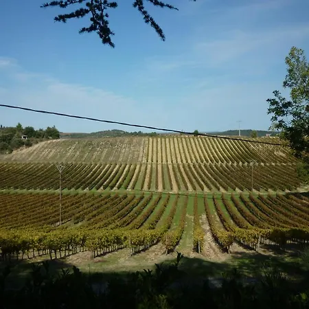 Les Bruyeres D'hôte De Charme Calme Assuré Loupia