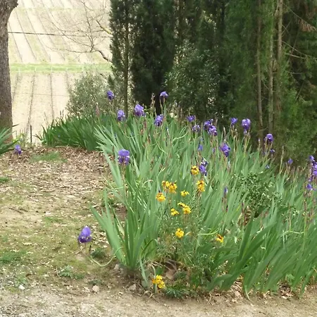 לינה וארוחת בוקר Les Bruyeres D'hote De Charme Calme Assure