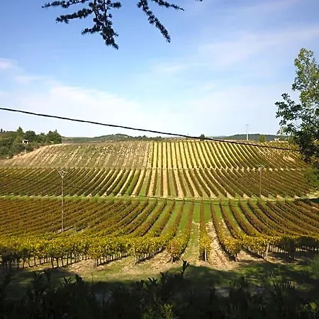 Les Bruyeres D'hote De Charme Calme Assure Loupia