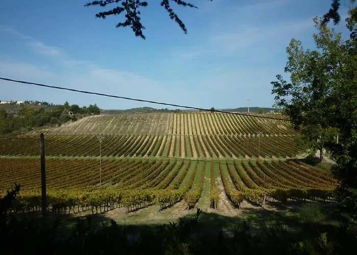 Les Bruyeres D'hôte De Charme Calme Assuré Loupia